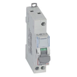 Inter-sectionneur De Tête DX³-IS - Vis/vis - à Voyant - 1P - 250 V~ - 20 A - 1 M