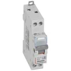 Inter-sectionneur De Tête DX³-IS - Vis/vis - à Voyant - 2P - 250 V~ - 40 A - 1 M