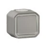 Interrupteur Ou Va-et-vient Lumineux 10AX 250V Plexo Complet Saillie Gris / Legrand