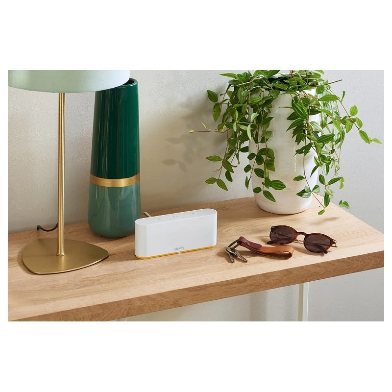 Tahoma Switch - Box RTS iO Multiprotocoles / Somfy Tahoma Switch - Box RTS IO Multiprotocoles / Somfy -Alliance Lec Magasin tahoma switch box rts io multiprotocoles somfy 1